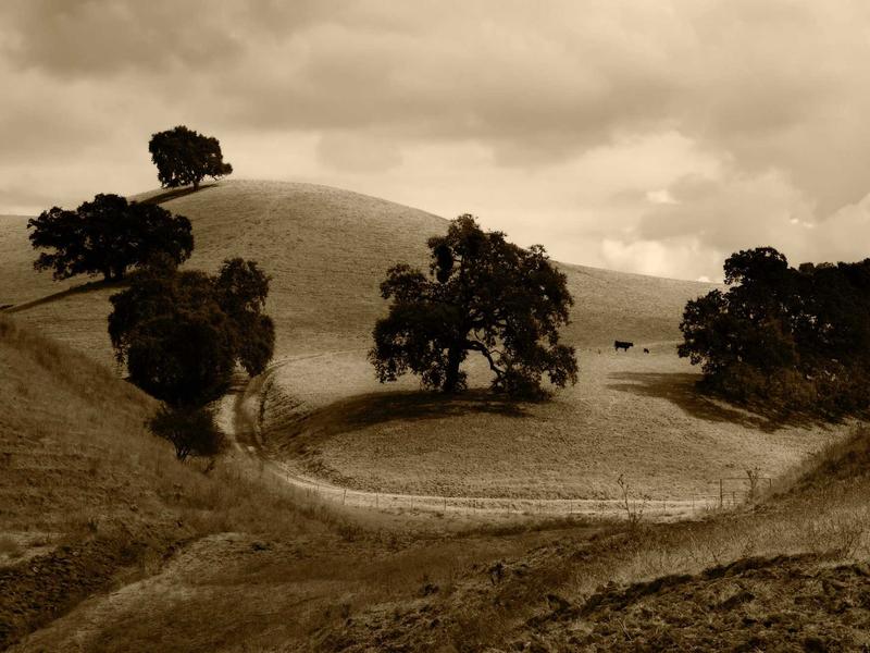 android screenshot 5